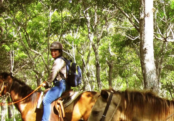 Horses in the Rocazul del Holguin park