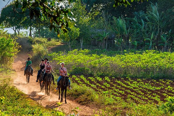 Tourists horseback riding through Pinar del Río