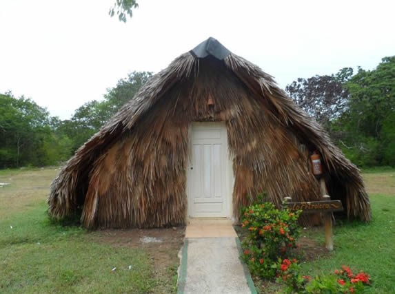 rustic guano cabin surrounded by greenery