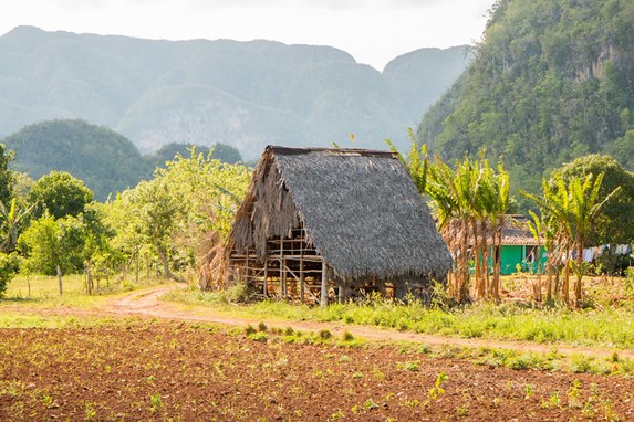 guano roofed cabin surrounded by mountains