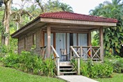 wooden cabin surrounded by greenery