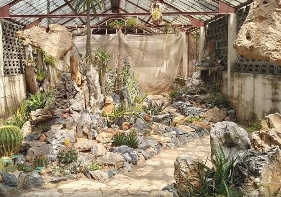 Espacio con cactus y rocas en el jardin