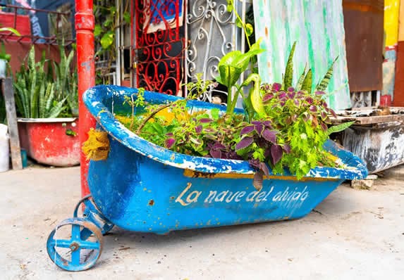 Art with plants in the Hamel alley