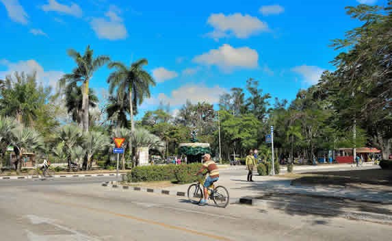 park view with abundant vegetation