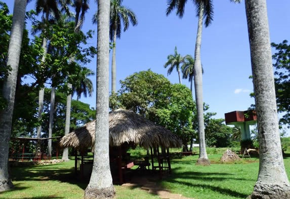 casita de guano rodeada de palmas