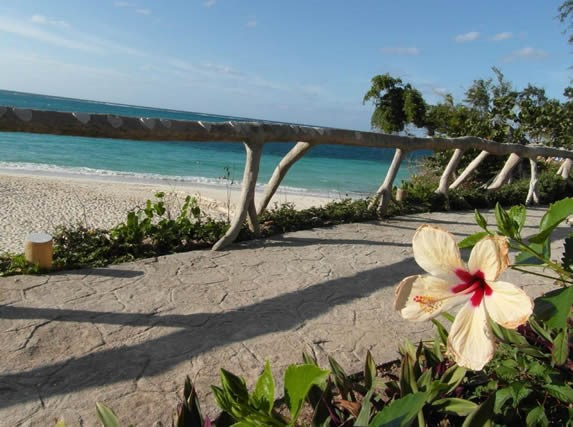 camino en la playa con barandas de madera y flores