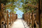 wooden path to the beach with greenery