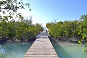 puente de madera camino a la playa