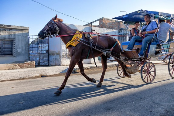 cart with horse through the streets of the city