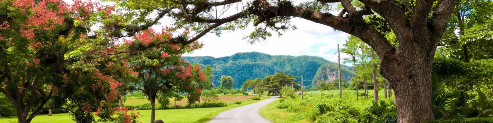 Camino de viñales