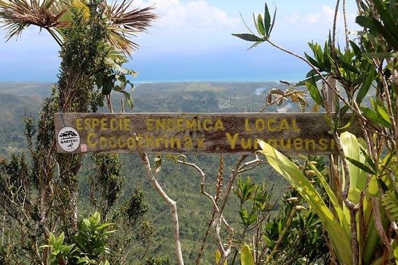 wooden sign surrounded by greenery