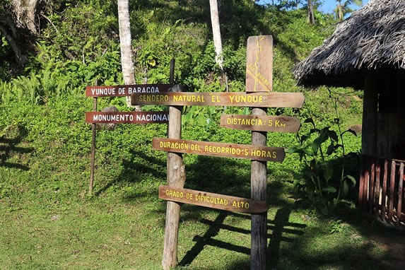 wooden signs surrounded by greenery