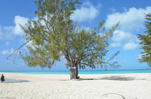 cartel con el nombre de la playa en un árbol