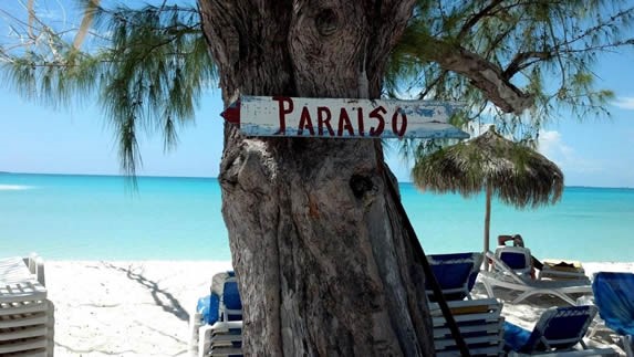 cartel con el nombre de la playa en un árbol