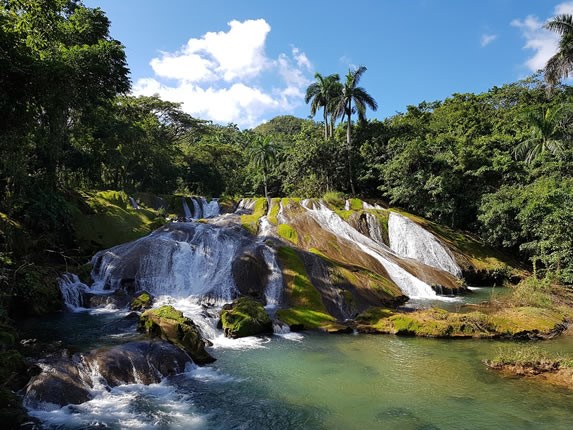 small waterfall surrounded by rocks and vegetation