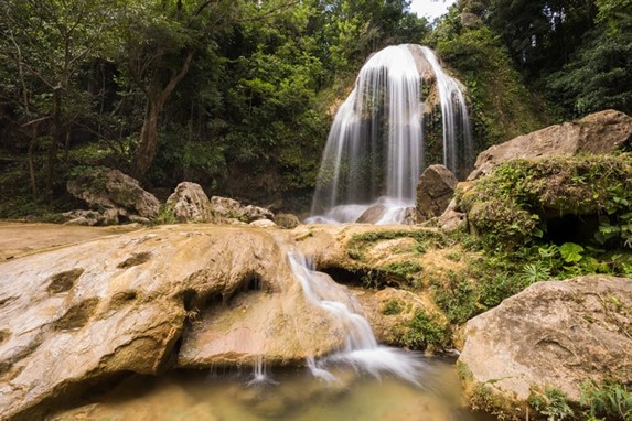 waterfall surrounded by vegetation and rocks