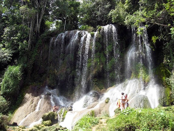 waterfall and rocks amidst lush vegetation