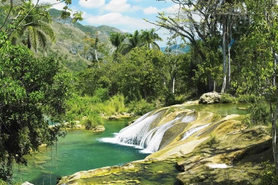 waterfall in the middle of abundant vegetation