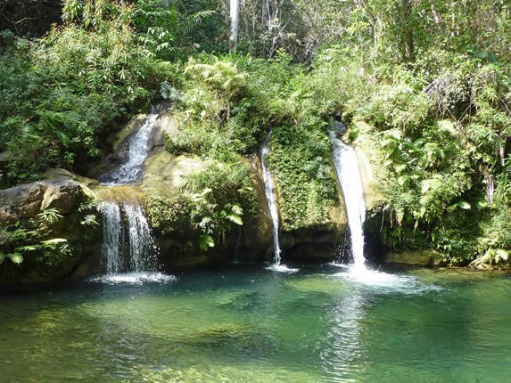 cascada y río rodeado de vegetación