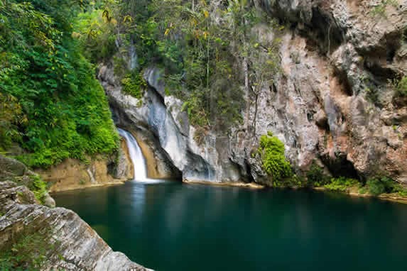 waterfall surrounded by abundant vegetation