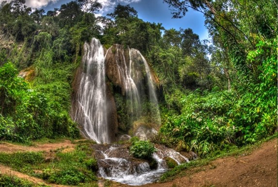 waterfalls surrounded by vegetation and trees