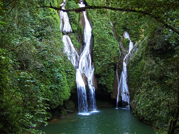 cascadas rodeadas de vegetación y árboles 