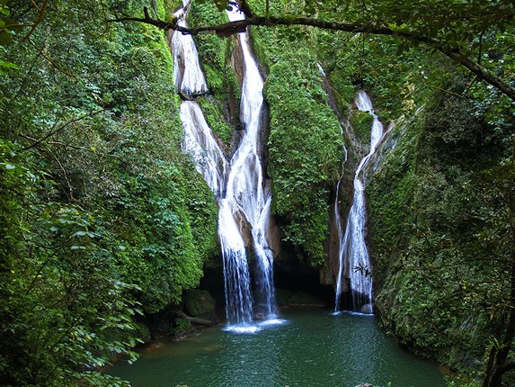 waterfalls surrounded by vegetation and trees