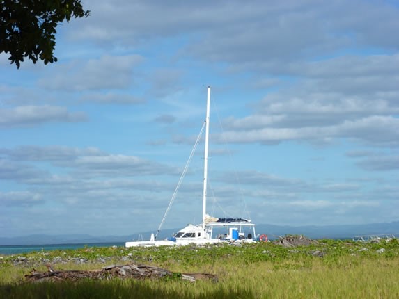 small boat at the seashore with greenery