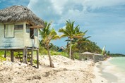 Palm trees on the beach of Cayo Coco