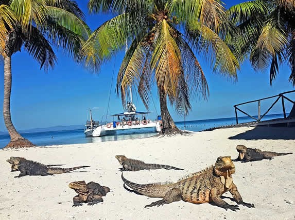 Vista de la playa en Cayo Iguana