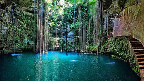 Cenote Ik Kil - View of Cenote