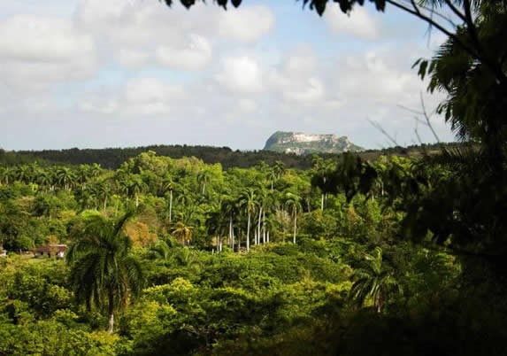 mountain range and abundant vegetation