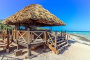 wooden beach bar with guano roof