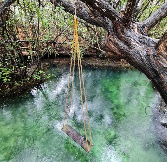 Swing in the cenote of the Clandestino bar