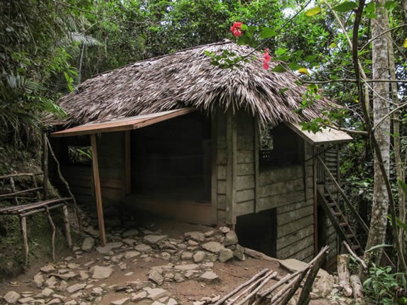 pequeña cabaña con techo de guano