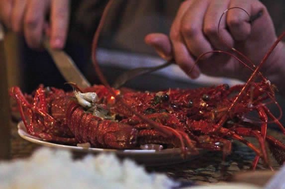 restaurant lobster dish