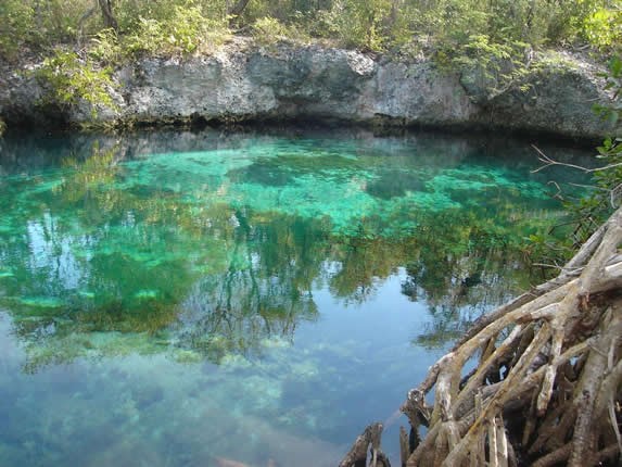blue cenote surrounded by stones and vegetation