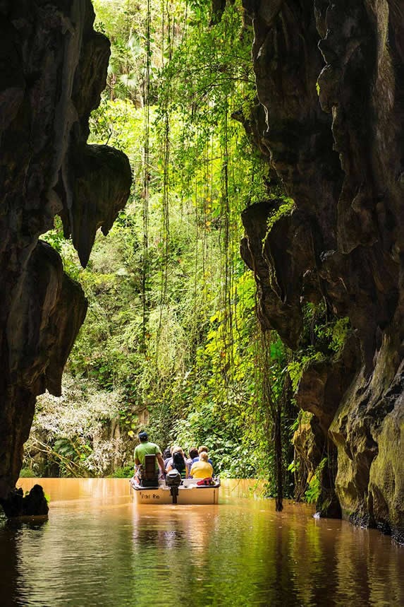 Pinar del Rio, Viñales and Cayo Levisa Picture 1