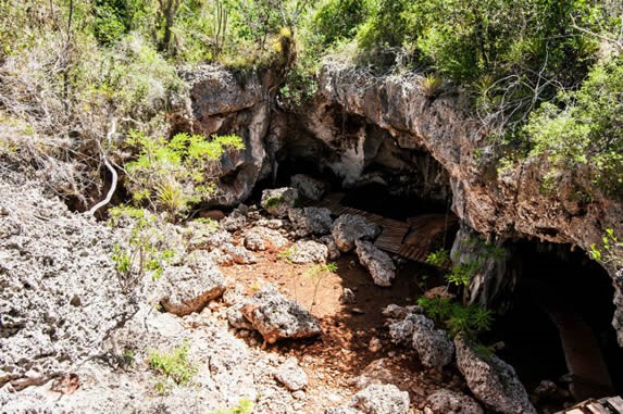rock cave with vegetation around