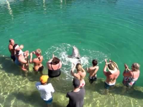 dolphinarium , Cayo Santa María,Cuba