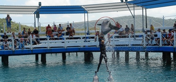 Dolphinarium in the bay of Naranjo Holguín