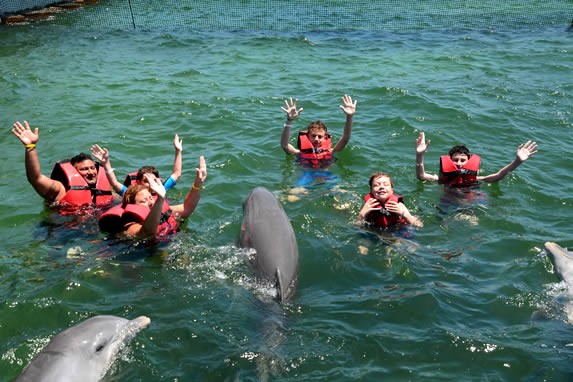 Swim with dolphins in Varadero