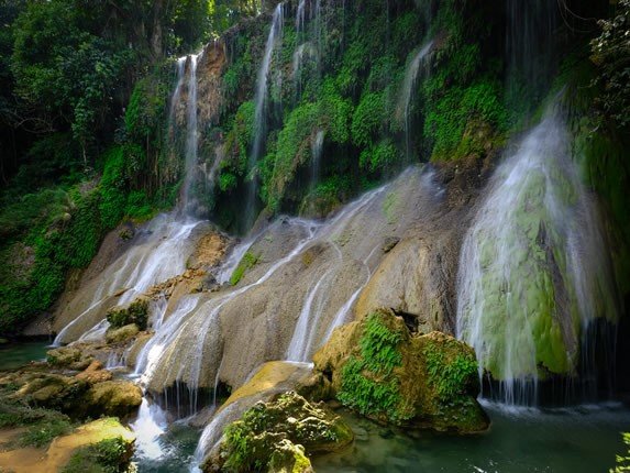 waterfall surrounded by greenery 