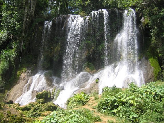 cascada rodeada de vegetación y rocas