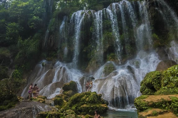 cascada rodeada de vegetación y rocas