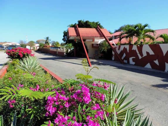 entrada rodeada de coloridas flores y vegetación