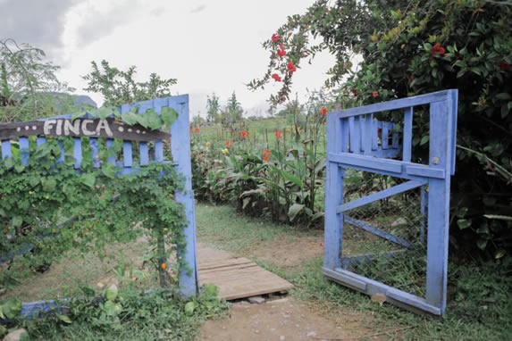 portón de madera azul a la entrada de la finca