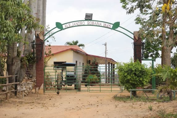 entrada con portón de hierro y vegetación