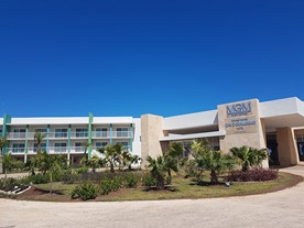 entrada del Hotel con pequeñas palmeras alrededor