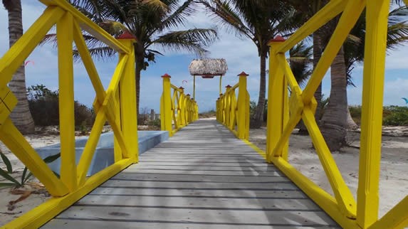 wooden path with yellow fence and palm trees